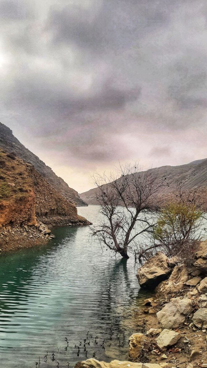 تصویر 1