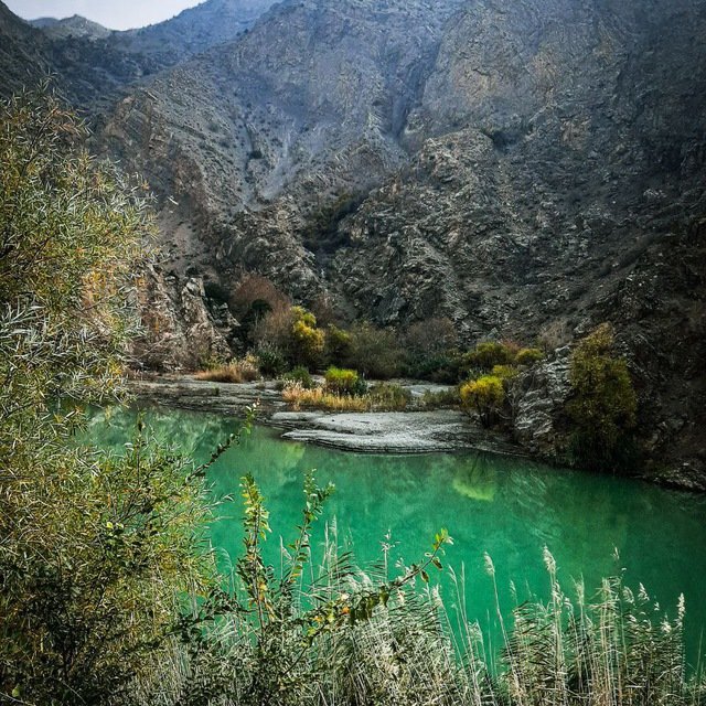 تصویر 5