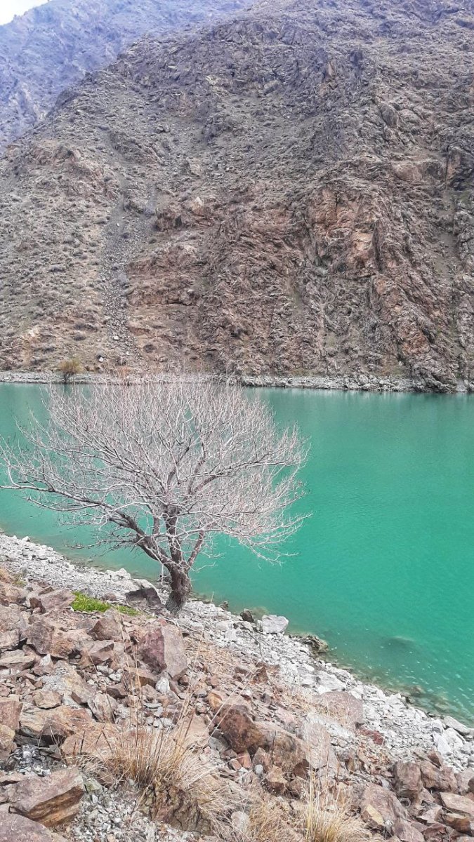 تصویر 3